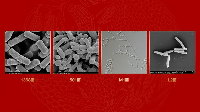 1706058800793917.png 1706058800793917.png